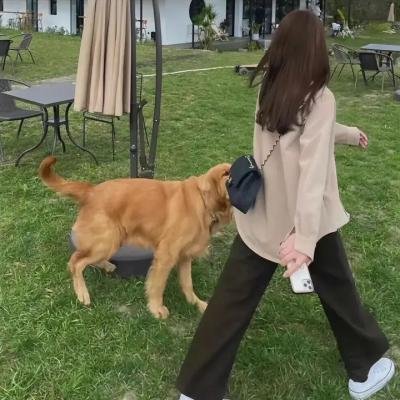 吻乐队与公园幽灵